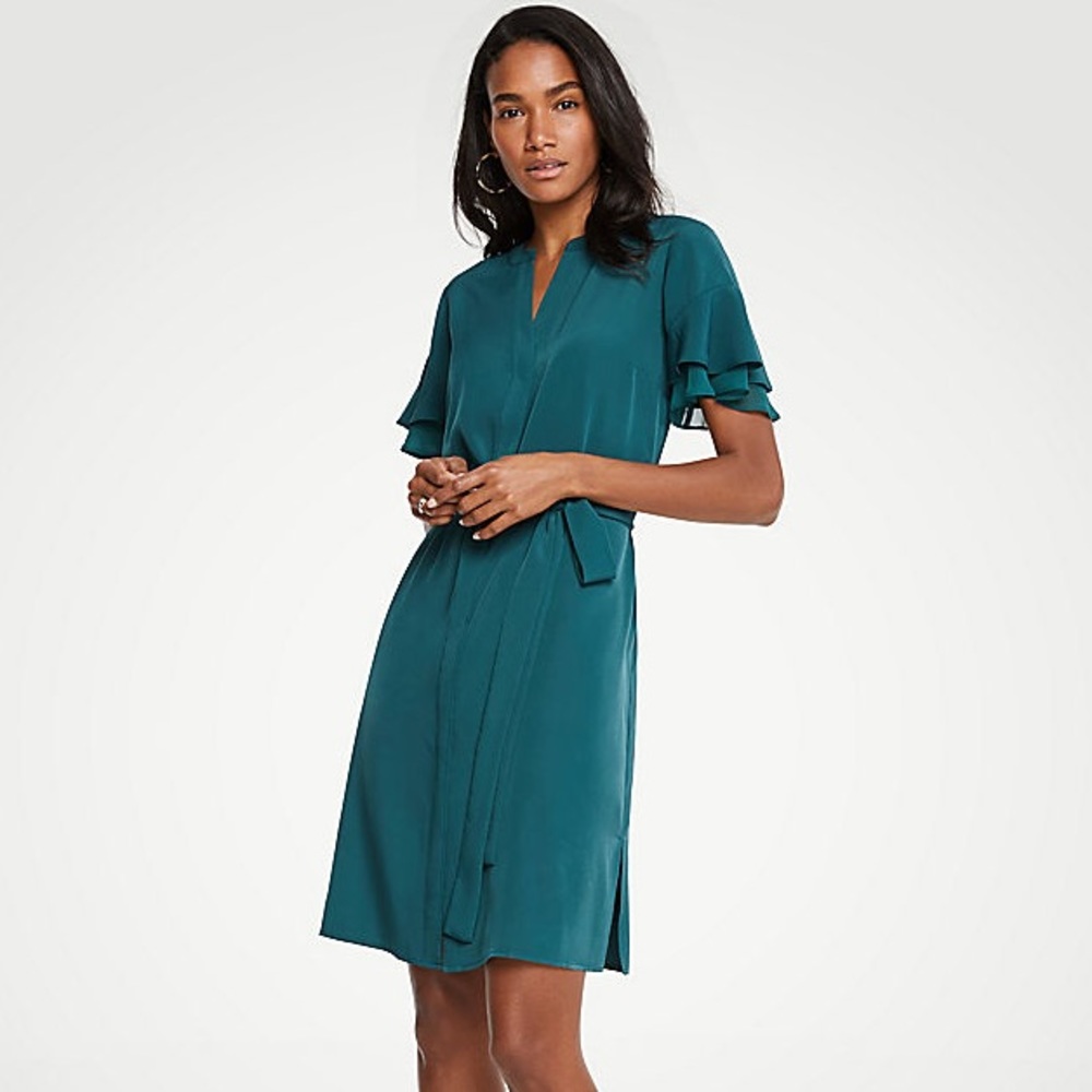 NWOT Flutter Sleeve Dress